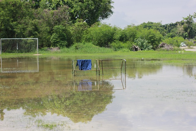意甲前瞻：萨索洛VS佛罗伦萨——比分分析