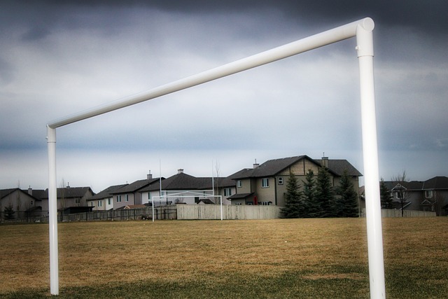 沙特前体育部长：C罗是沙特联赛唯一配得上其高额年薪的外籍球员