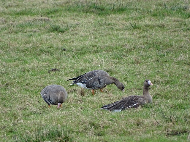 打成表演赛！徐杰单节三分6中5＊3节得到23分